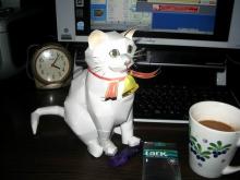 我が家の猫ミミ子