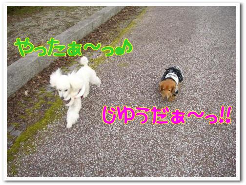 ＩＬＯＶＥミリィ～ミリィ～ちゃん～ｎｅｗ～