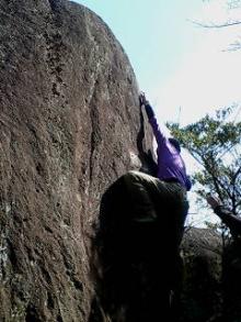 Back to nature