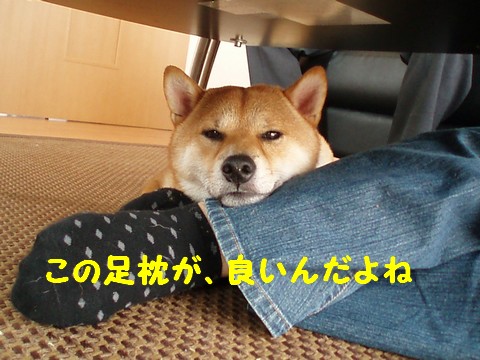 足枕