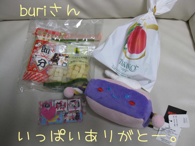 チワワ　ルイ型(・∀・。)タラちゃんもいるよ。