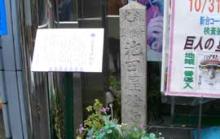sinnsenngumi