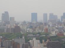大阪城はどこでしょう?