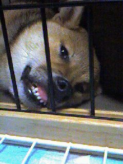 061023_2137~0002.jpg