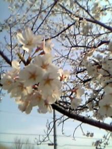 20060408_00