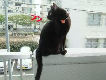ベランダ手すり