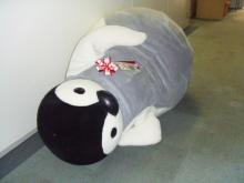 お昼寝