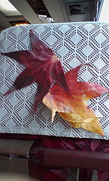 071128_1227~01.jpg