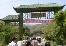 入口