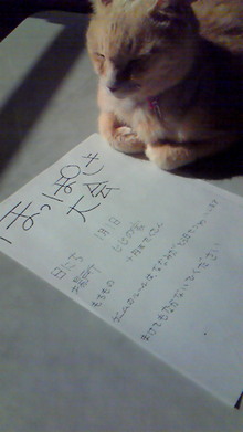 ８．９．１０…シビル&dodici&Treize-image.jpg
