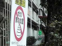Now! Mr.Kokesy!!-カート！？