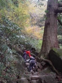 山登り8