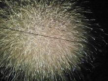 hanabi