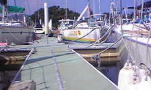 Image140.jpg