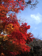 談山