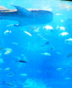 060828_1440~01.jpg