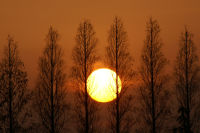 夕陽-2
