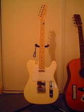 Squier