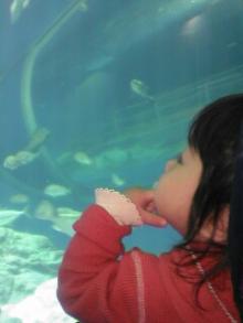 水族館