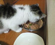 200611162203000.jpg