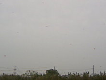 TS3C0031.JPG