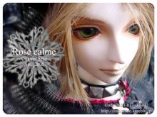 orgn011c
