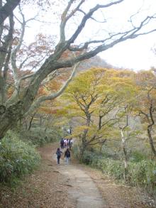 山登り10