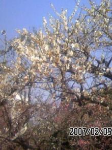 070205_1319~01.JPG