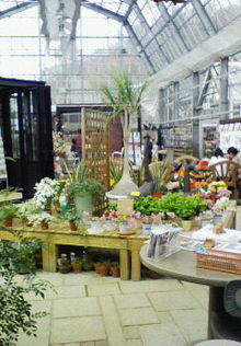 200704081500000.jpg