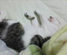 くつろぎ中