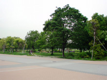 true-舎人公園