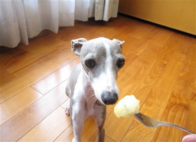 ちぇりー.Kのブログ
