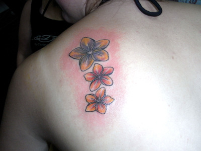 Before deciding to choose one of numerous frangipani tattoos you may be
