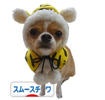 PARUパル