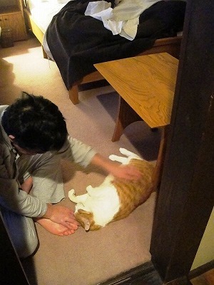 ウサギとカメな日々