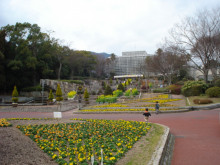 <b>広島市</b>植物<b>公園</b>｜ＶＷ大好き！マイペース日記！！