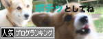 うらうらな日々。