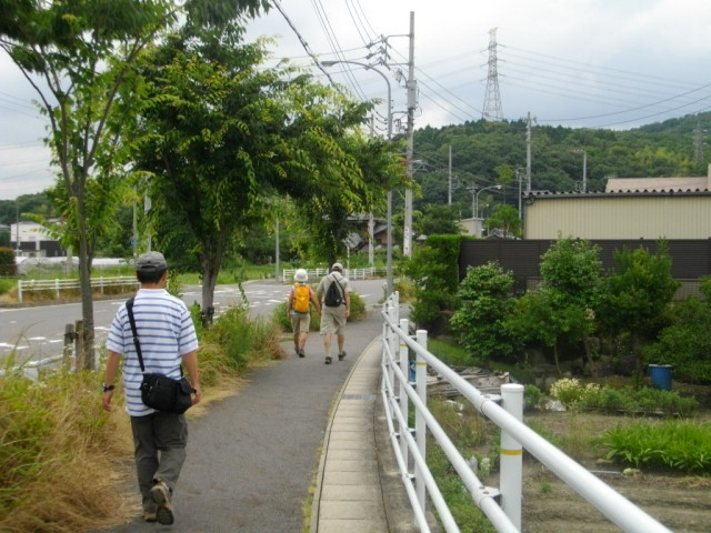 どこでも早起き、ウォーキング-84