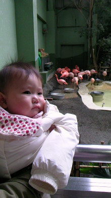 はじめまして<b>円山動物園</b>×生後２４４日目｜カキ氷＠新米ママのブログ