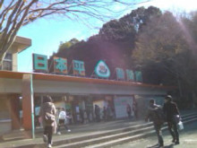 <b>日本平動物園</b>｜クルミの気ままなブログ