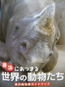 <b>横浜</b>市立<b>金沢動物園</b>｜スエコマのお出かけ大好きプログ