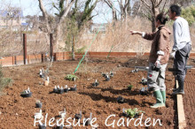 sotobo style by Pleasure GardenLiving