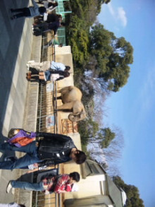 恐怖の！？<b>大牟田市動物園</b>。