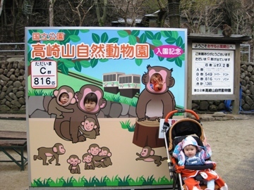 <b>高崎山自然動物園</b>｜ふるさと別府探検記
