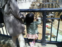 <b>京都市動物園</b>｜Ｍａ＊Ｖｉｅ 山田麻衣子のブログ～メイクで毎日幸せを～