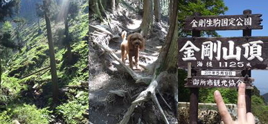 占いのフォレストランプ＊公式ブログ