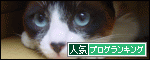 一日一回ぽちっとにゃ