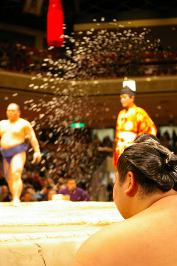 sumo1