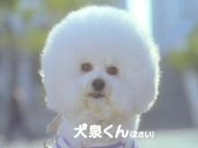 犬泉くん