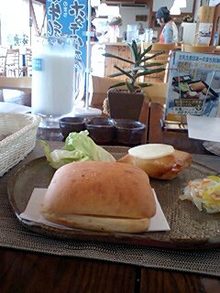 北海道便り・大きくて優しい牛たちとの生活-090130_1201~0001.jpg